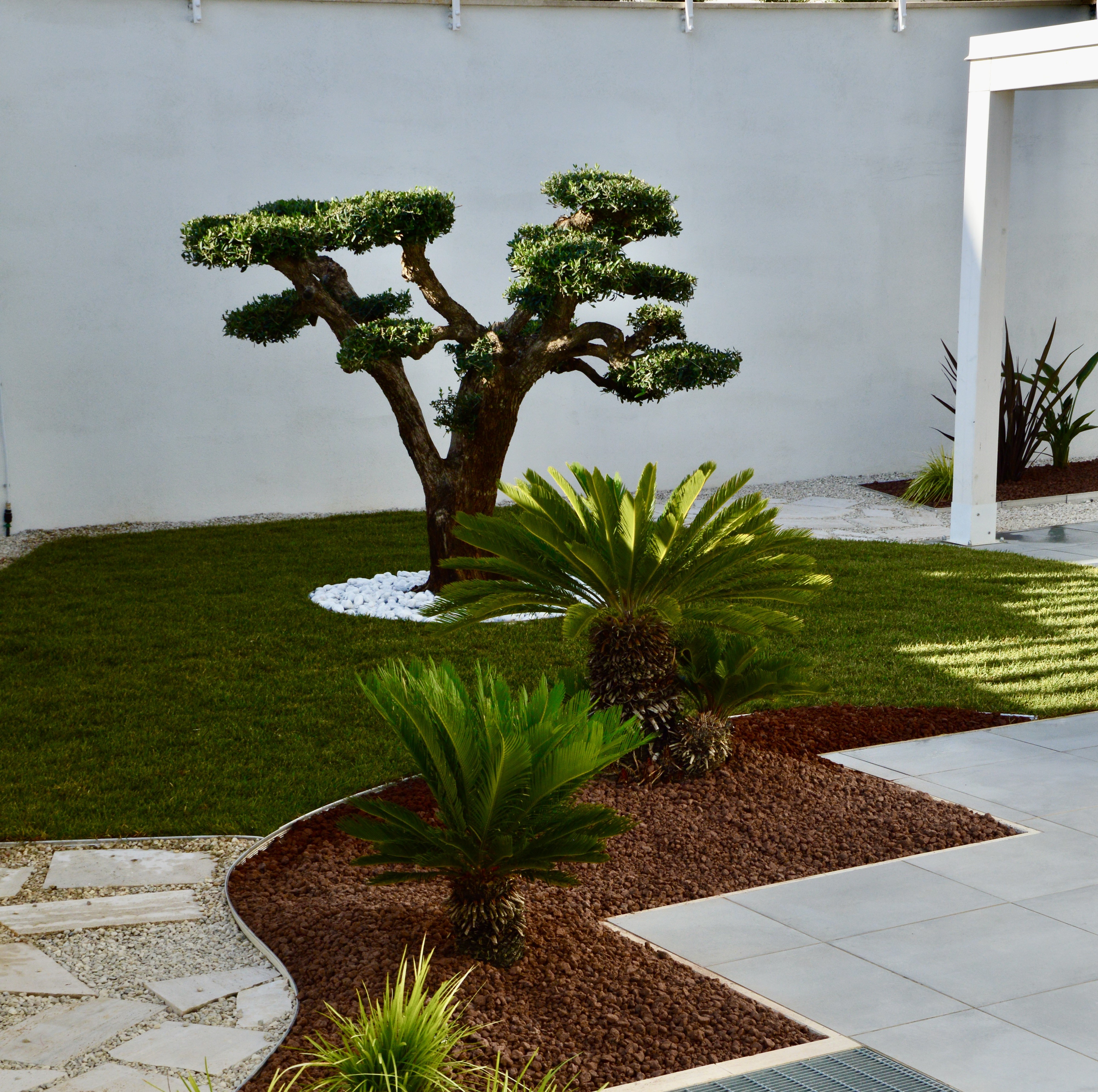 Disegno preparatorio progetto 'Giardino dalle Simmetrie verdi'
