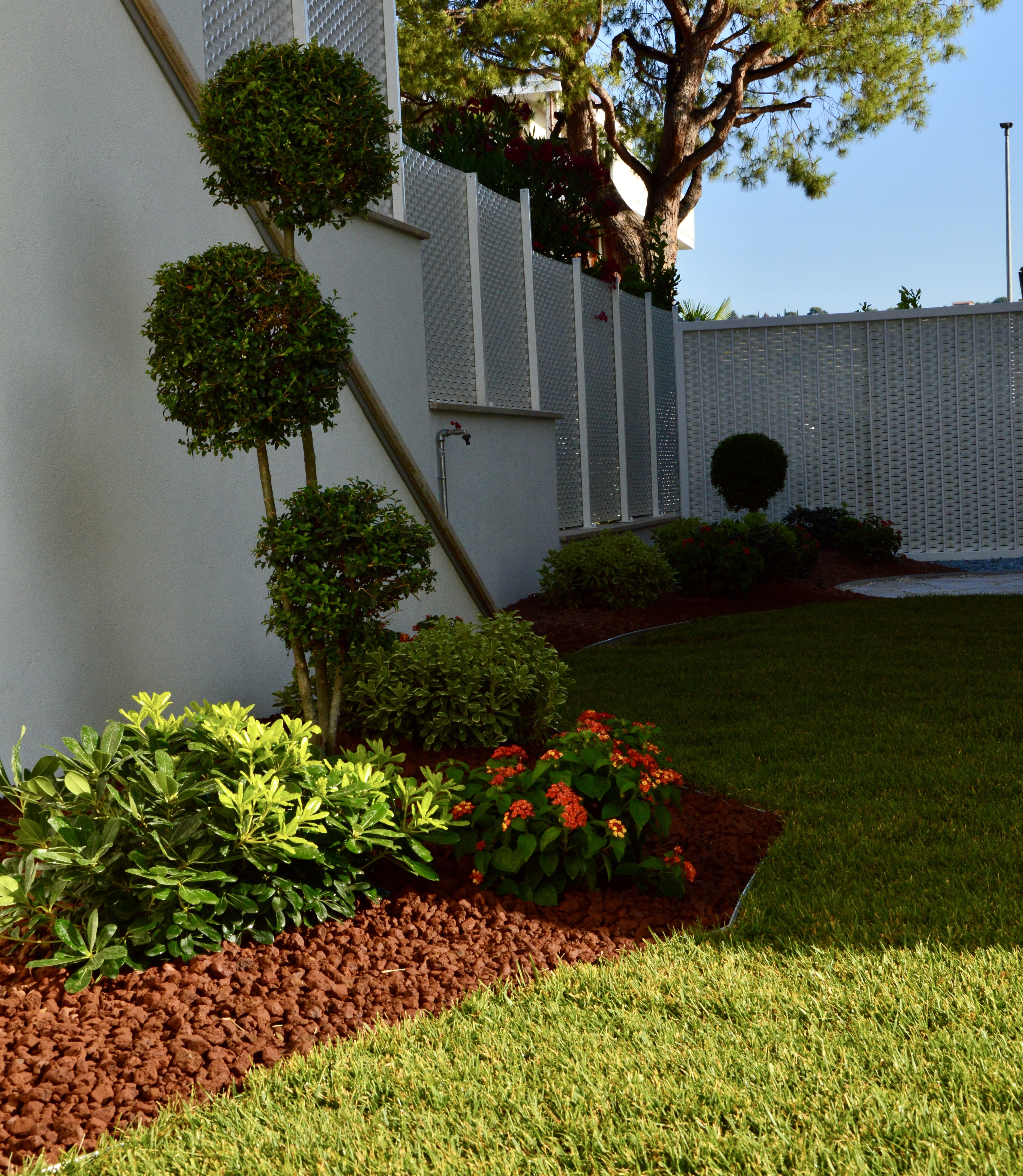 Progetto 'Giardino dalle Simmetrie verdi'