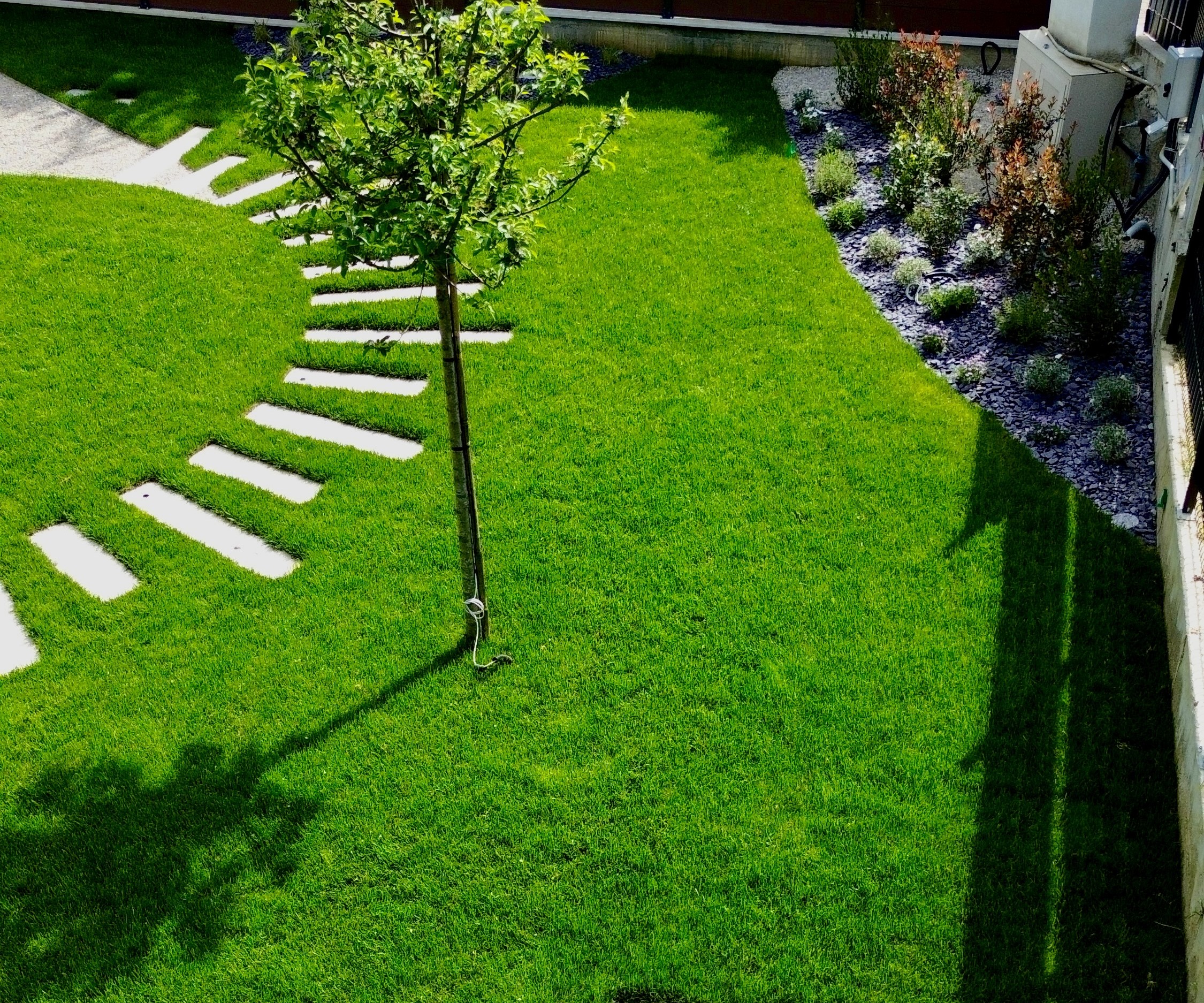Progetto 'Giardino d'autore in stile moderno'