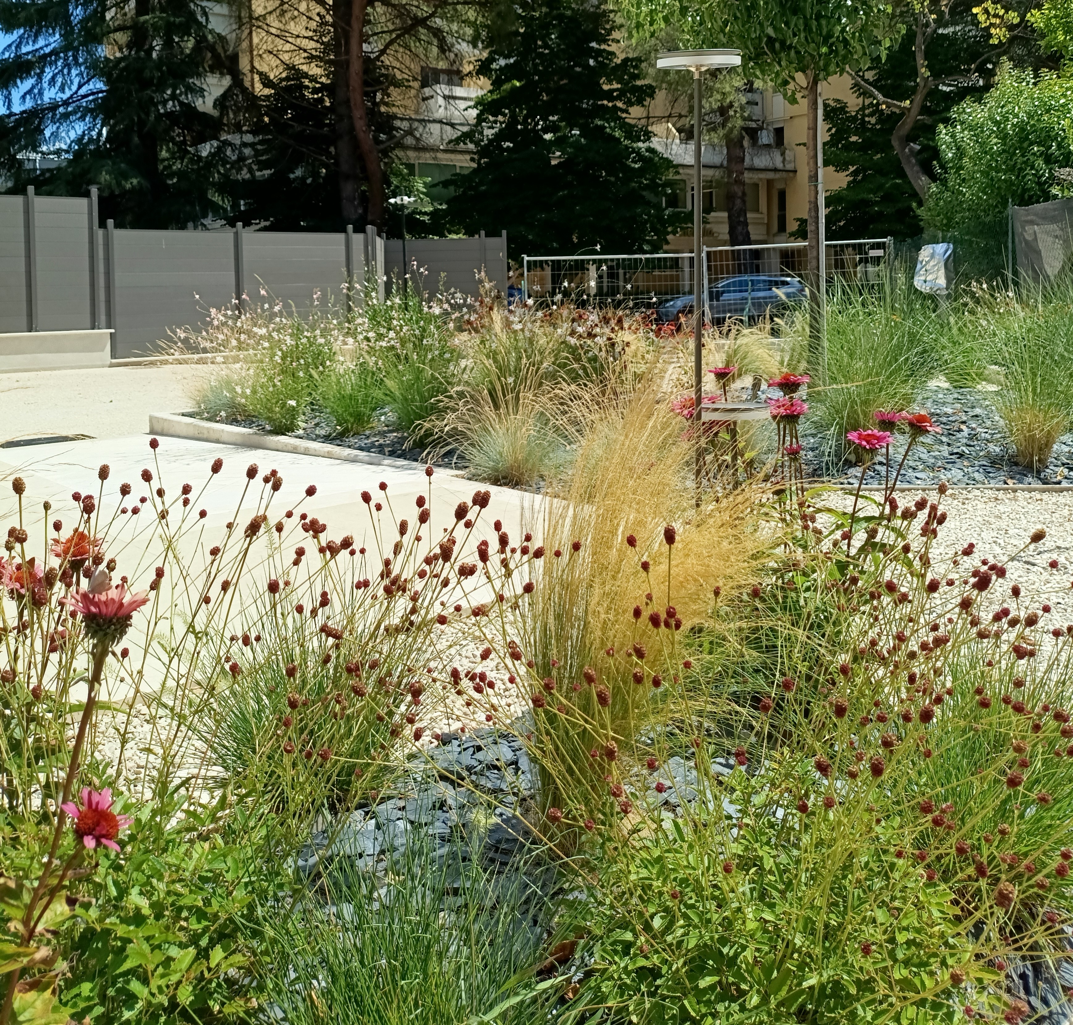 Progetto 'Giardino d'autore in stile moderno'