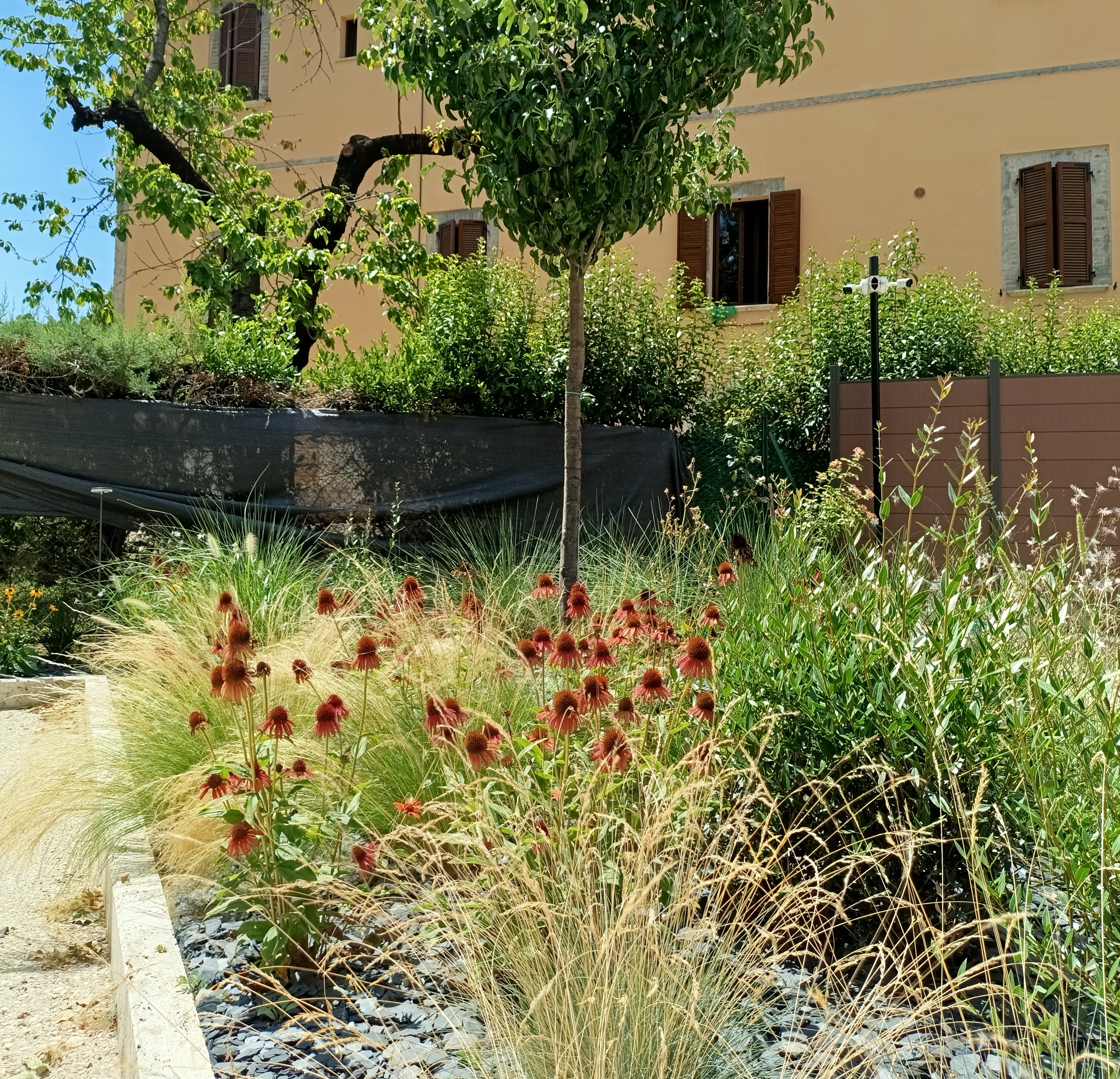 Progetto 'Giardino d'autore in stile moderno'