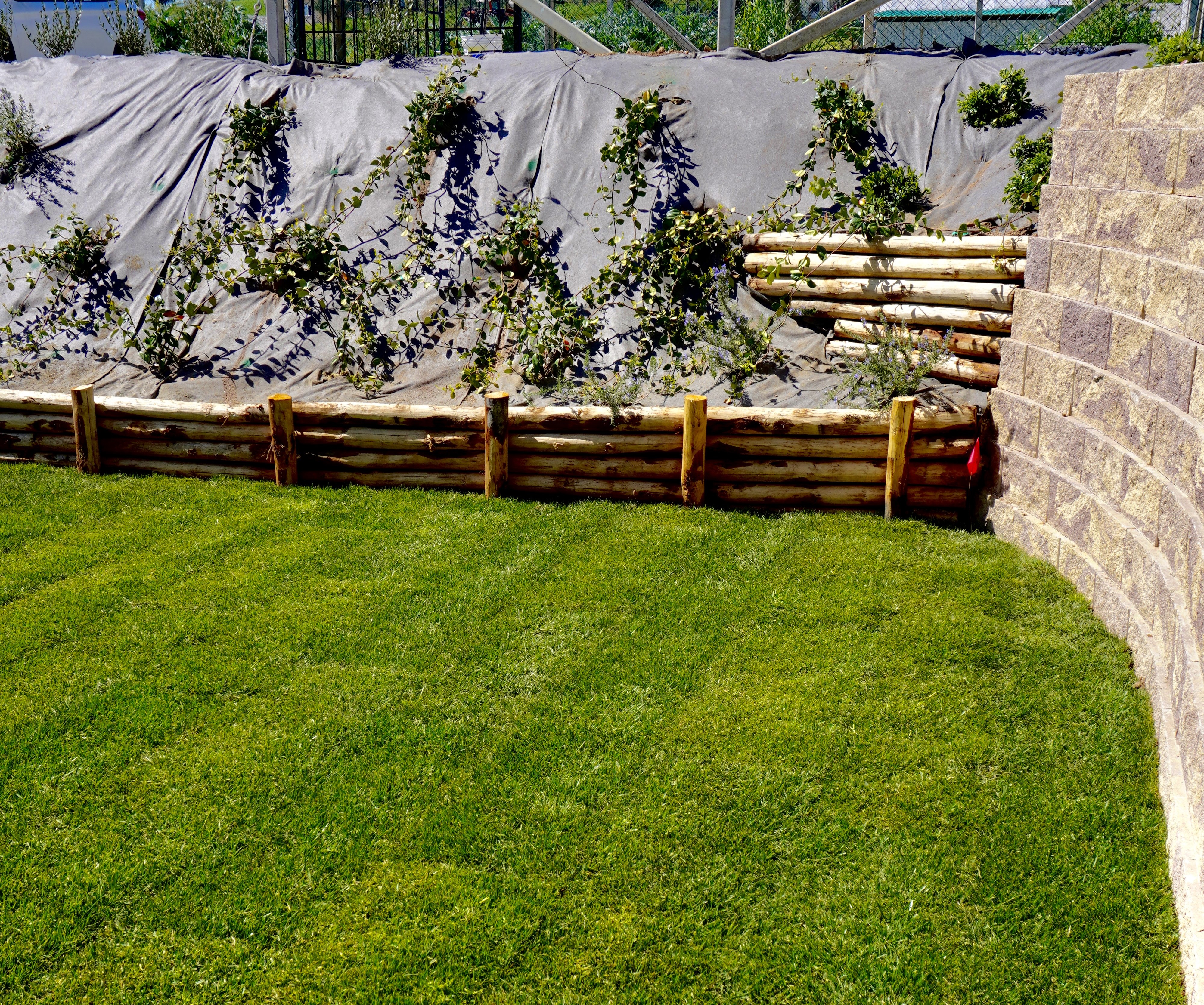 Progetto 'Villa Ophite'